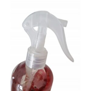 Spray d'Ambiance- Scandal